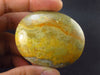 Rare Bumble Bee Jasper Tumbled Stone From Australia - 2.1" - 51.50 Grams