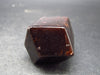 Red Almandine Garnet Crystal From India - 1.3" - 54.5 Grams