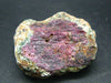 Rare Ruby In Zoisite Crystal from India - 1.7"