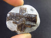 A Perfect Staurolite Crystal on Matrix from Russia - 1.3" - 21.2 Grams
