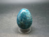 Large Neon Blue Apatite Egg from Madagascar - 123.0 Grams - 2.0"