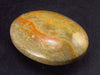 Rare Bumble Bee Jasper Tumbled Stone From Australia - 2.1" - 51.50 Grams