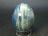 Lemurian Aquatine Blue Calcite Egg From Argentina - 2.1"