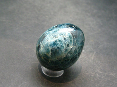 Large Neon Blue Apatite Egg from Madagascar - 46.4 Grams - 1.4"