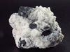 Fine Black Tourmaline Cluster From Pakistan - 2.7" - 160 Grams