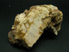 Rare Herderite on Feldspar Cluster from Brazil - 221 Grams - 4.2"