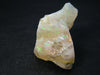 Gem quality Opal piece from Welo Ethiopia - 24.7 Grams - 1.7"