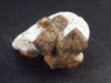 A Perfect Staurolite Crystal on Matrix from Russia - 1.7" - 43.5 Grams