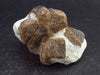 A Perfect Staurolite Crystal on Matrix from Russia - 1.7" - 43.5 Grams