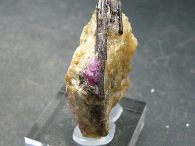 Rare Painite & Ruby Crystal on Matrix From Myanmar - 1.7" - 28mm Crystal