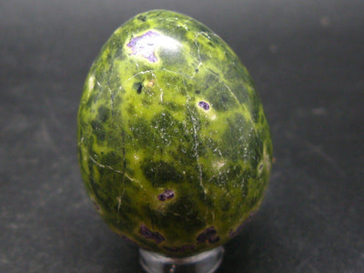 Rare Atlantasite Stichtite + Serpentine Egg from Australia - 1.7"