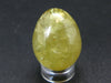 Large Gold Apatite Egg from Mexico - 20.4 Grams - 1.1"