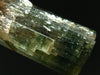Rare Watermelon Tourmaline Crystal From Brazil - 1.3"