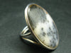 Motherland!! Rare Scenery Moss Agate Cabochon 925 Sterling Silver Ring with Silver Chain from Kazakhstan - Size 7