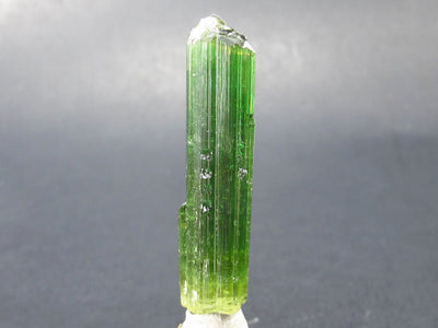 Green Tourmaline Crystal From Brazil - 1.7" - 36 Carats