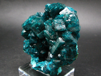 Stunning Dioptase cluster from Congo - 3.2"