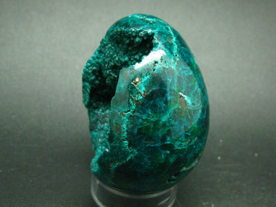 Very Rare Large Dioptase Egg From Congo - 2.4"