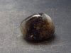 Rare Brandenberg Brandberg Amethyst Quartz Crystal From Namibia - 0.9"
