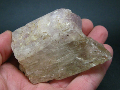 Gem Bicolor Kunzite Spodumene Crystal From Afghanistan - 3.0"