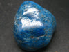 Neon blue Apatite Stone from Madagascar- 58.7 Grams - 1.6"