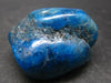 Neon Blue Apatite Tumbled Stone from Madagascar - 47.3 Grams - 1.5"