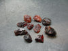 Lot Of 10 Gem Spessartine Spessartite Garnet Crystal From Brazil - 64.8 Carats