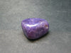 Large Nice Charoite Tumbled Stone from Russia - 19.6 Grams - 1.2"