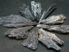 Lot of 10 Rare Black Kyanite Crystals From Brazil - 31 Grams