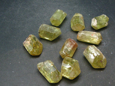 Lot of 10 Gem Golden Apatite Crystals From Mexico