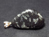 Pine Kernels Stone!! Pinolite Pinolith Silver Pendant from Austria - 1.5"