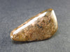 Rare Bustamite Piece from South Africa - 1.5" - 18.2 Grams