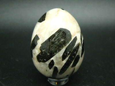 Canadian Treasure from the Earth!! Rare Black Fluoro-richterite Fluororichterite on White Calcite Egg From Ontario, Canada - 2"