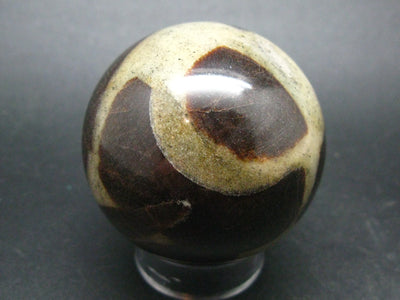 Rare Staurolite crystal in matrix Sphere Ball from Russia - 2.1"