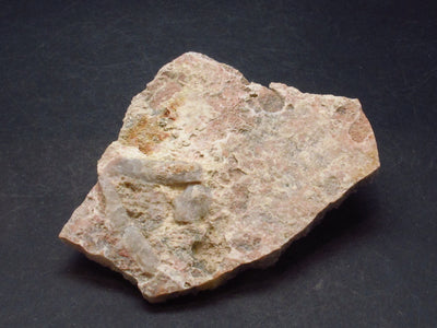 Fine Cactus Amethyst Spirit Quartz Crystal From South Africa - 3.2" - 48.2 Grams