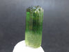 Green Tourmaline Crystal From Brazil - 0.8" - 17.6 Carats