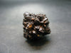 Very rare Z-Stone (Limonite after Marcasite) from Sahara Dessert, Egypt - 1.3"