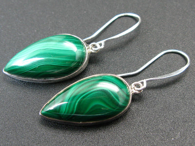 Queen of Green!! Rich Vivid Vibrant Green Malachite Dangling SS Earrings