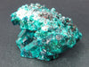 Very Nice Dioptase Cluster from Congo - 2.2"