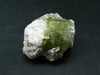 Green Tourmaline Crystal From Brazil - 1.0" - 67.90 Carats
