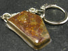 Ammolite Amolite Keychain From Canada
