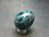 Large Neon Blue Apatite Egg from Madagascar - 46.4 Grams - 1.4"