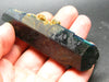 Vivianite Crystal From Bolivia - 3.5"
