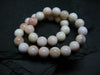 Conch Shell Genuine Bracelet ~ 7 Inches ~ 6mm Round Beads