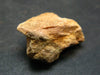 Rare Monazite Crystal From Brazil - 0.9" - 9.4 Grams