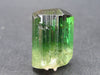 Green Tourmaline Crystal From Brazil - 0.8" - 23 Carats