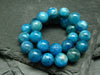 Neon Blue Apatite Genuine Bracelet ~ 7 Inches ~ 8mm Round Beads