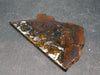 Large Brahin Meteorite Slice With Olivine Pallasite From Russia - 2.2" - 12.2 Grams