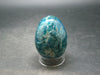 Large Neon Blue Apatite Egg from Madagascar - 123.0 Grams - 2.0"