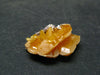 Golden Wulfenite Cluster From Mexico - 0.7"