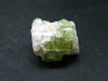 Green Tourmaline Crystal From Brazil - 0.8" - 41.35 Carats